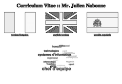 CV Ingénieur Julien Nabonne